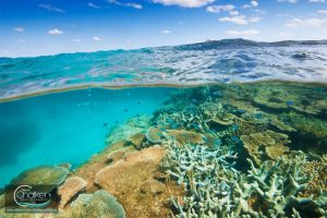 Fishing/Underwater Photography