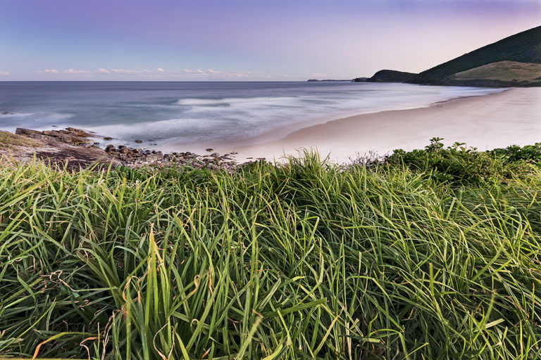 Shane Chalker Photography Wave MotionBlueys Beach Pacific Palms